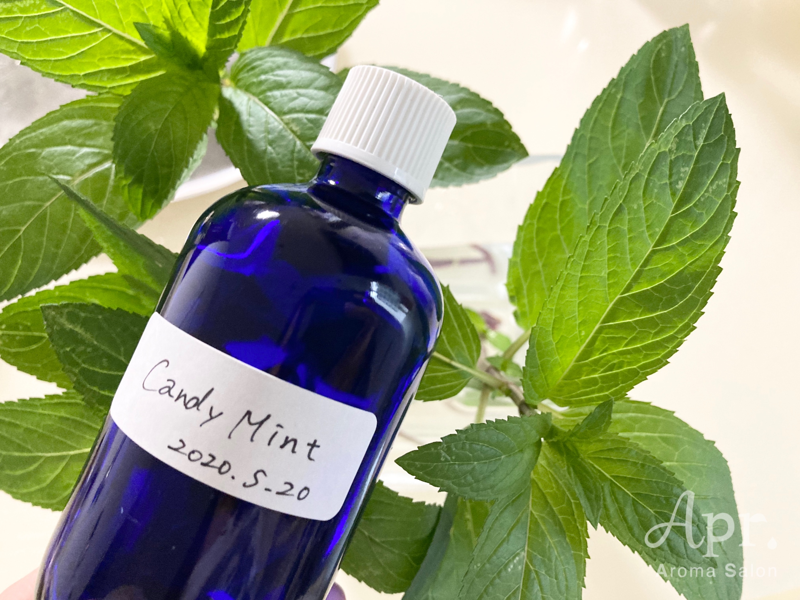 密です ミントで芳香蒸留水を作ろう Apr Aroma Salon